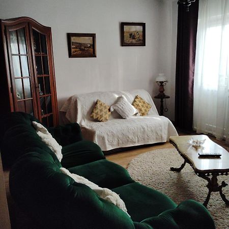 Vintage Central Apartament Targu Jiu Luaran gambar
