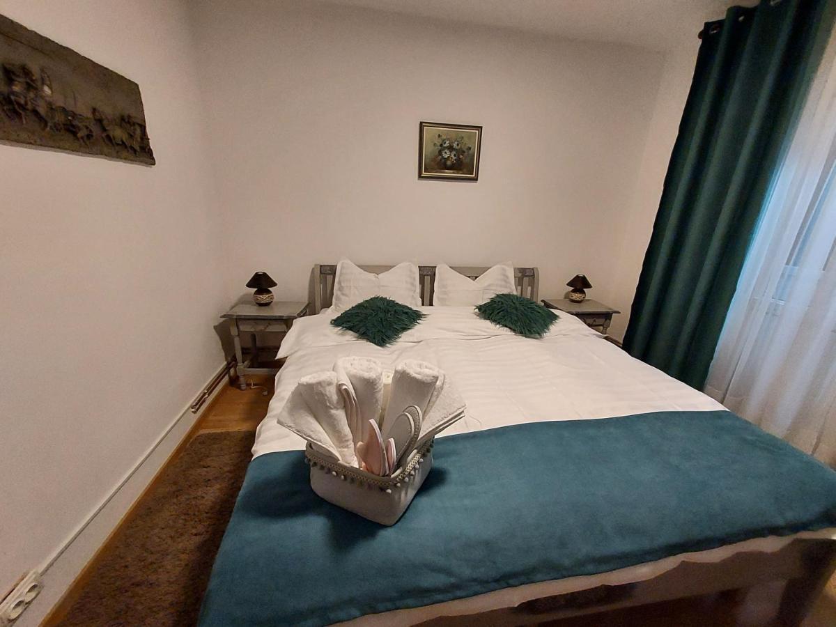 Vintage Central Apartament Targu Jiu Luaran gambar