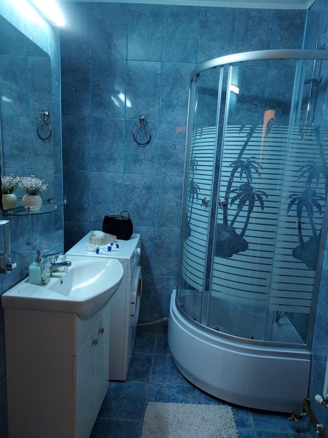 Vintage Central Apartament Targu Jiu Luaran gambar