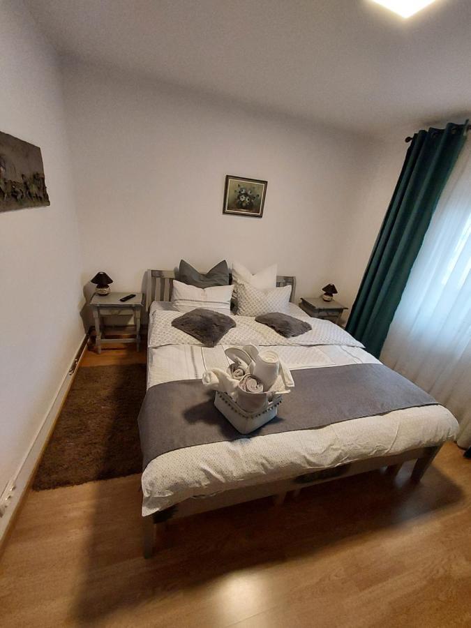 Vintage Central Apartament Targu Jiu Luaran gambar
