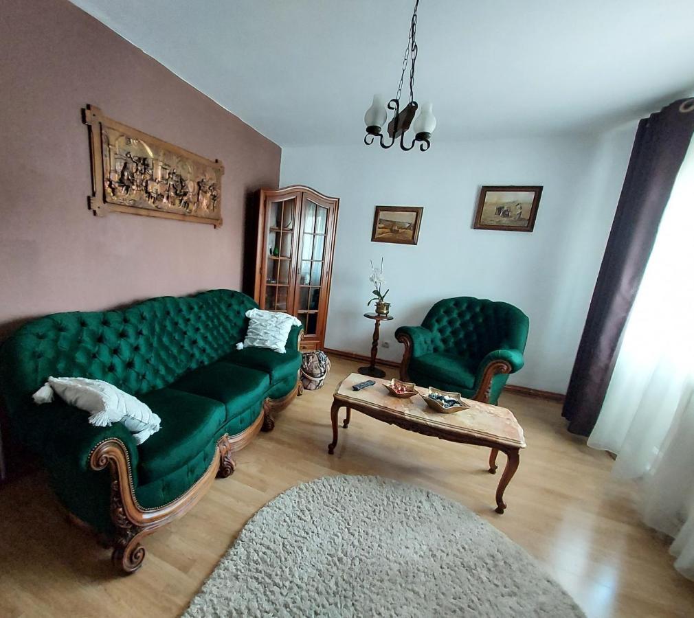 Vintage Central Apartament Targu Jiu Luaran gambar