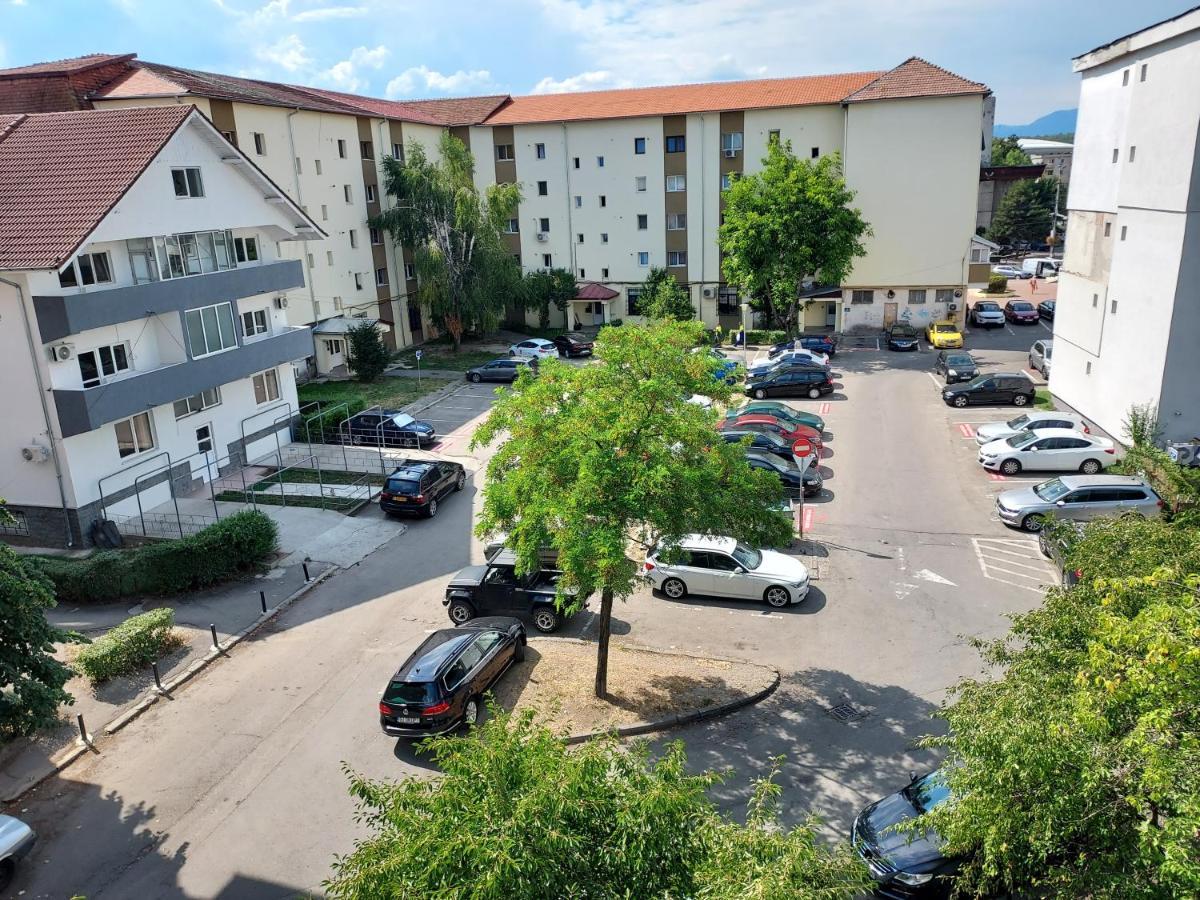 Vintage Central Apartament Targu Jiu Luaran gambar