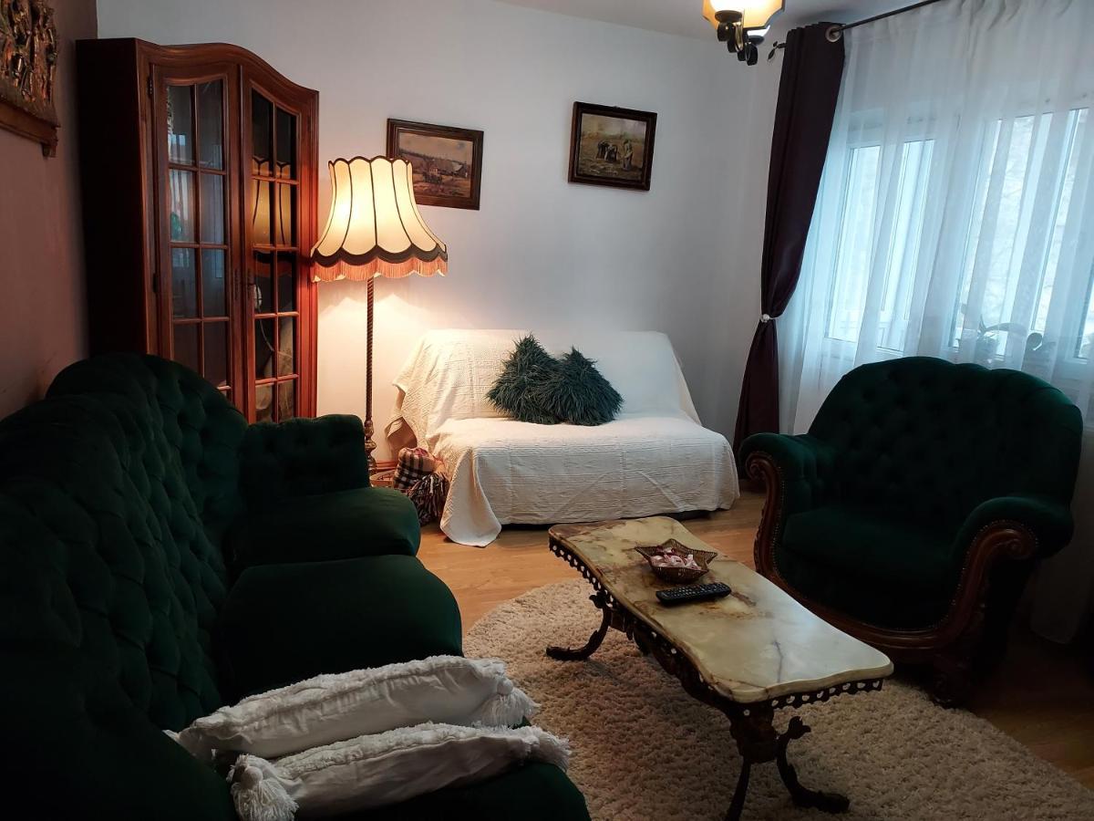 Vintage Central Apartament Targu Jiu Luaran gambar