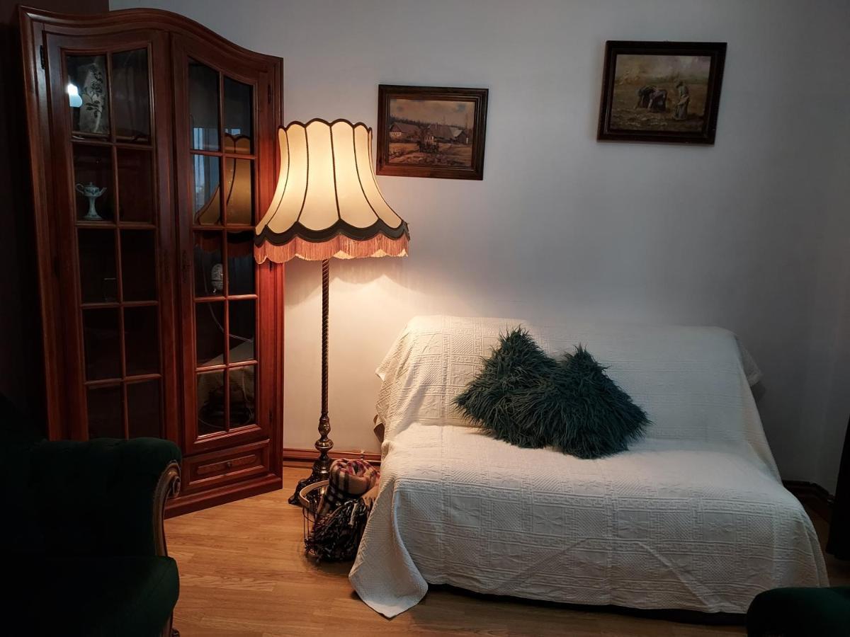 Vintage Central Apartament Targu Jiu Luaran gambar