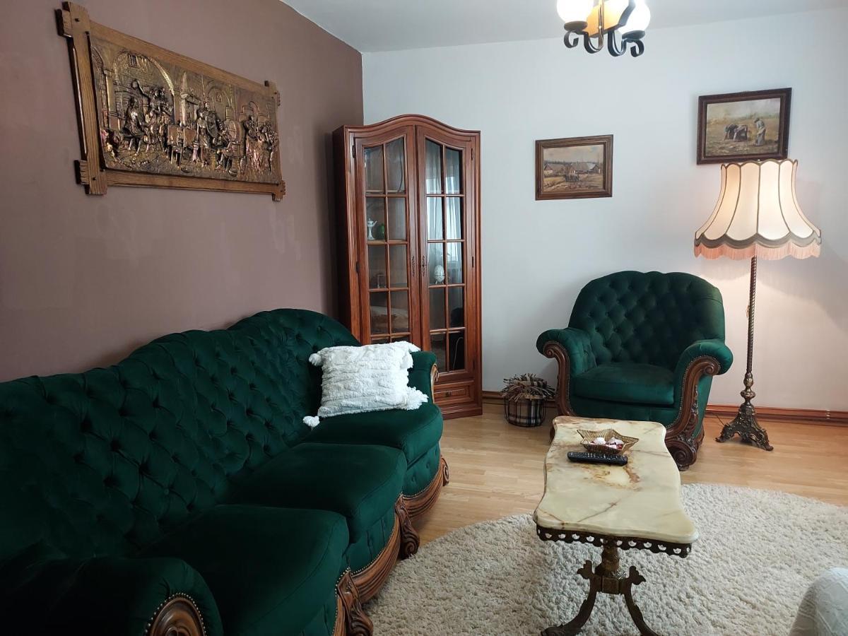 Vintage Central Apartament Targu Jiu Luaran gambar
