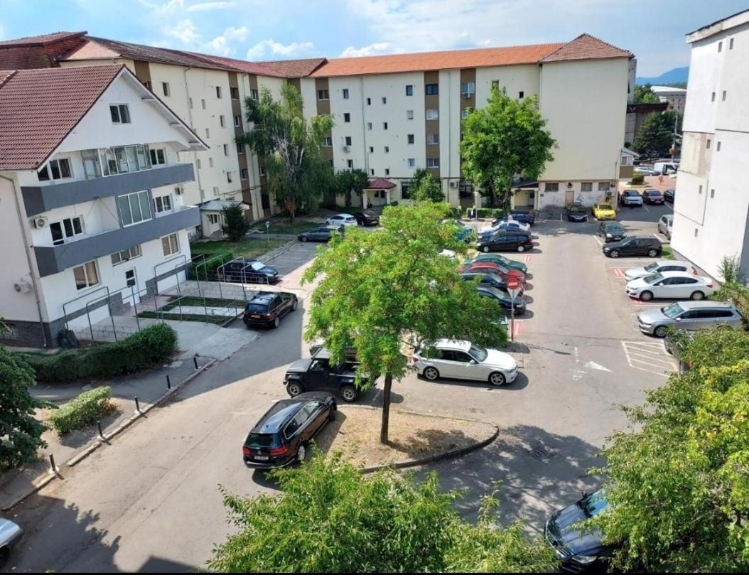 Vintage Central Apartament Targu Jiu Luaran gambar